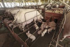 Interior terá rodada de palestras sobre o Descomplica Rural
