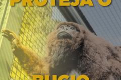 Proteja o Bugio