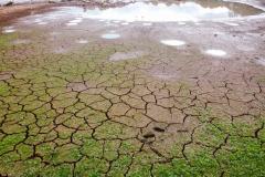 Governo decreta situação de emergência hídrica por causa da estiagem
