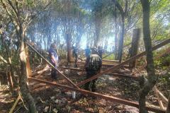 Projeto de lei prevê medidas ambientais e territoriais na Ilha do Mel
