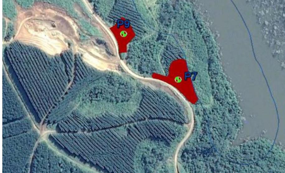 Restauração da área degradada