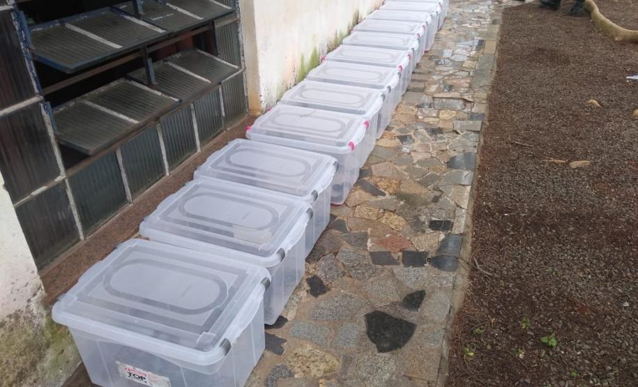 153 cobras peçonhentas são recolhidas de residência em Mandaguari