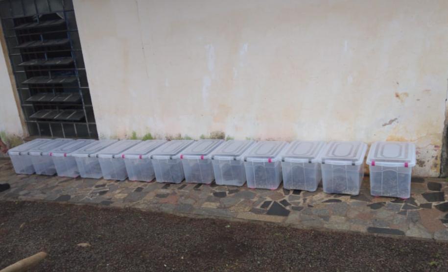 153 cobras peçonhentas são recolhidas de residência em Mandaguari