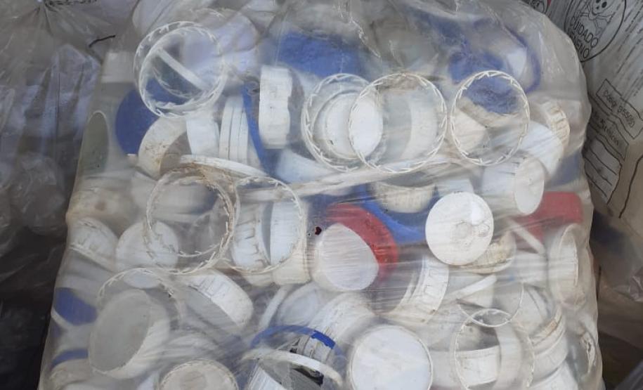 Paraná é destaque em destinação correta de embalagens de defensivos