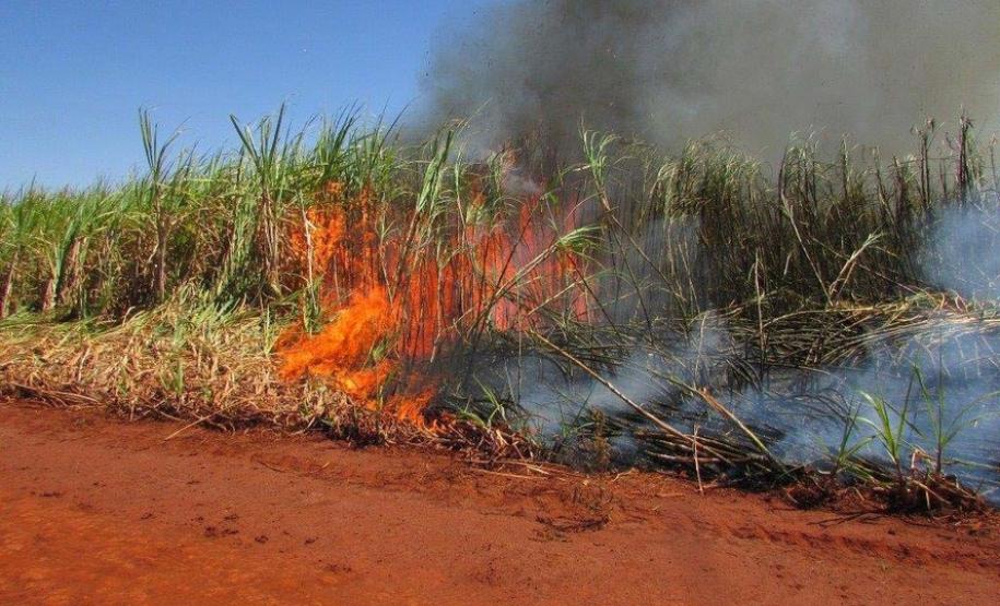 Adiado prazo para suspensão da queima de cana-de-açúcar