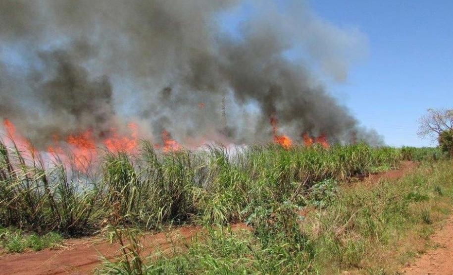 Adiado prazo para suspensão da queima de cana-de-açúcar