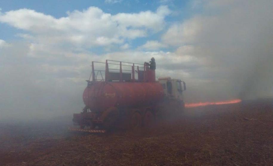 Adiado prazo para suspensão da queima de cana-de-açúcar