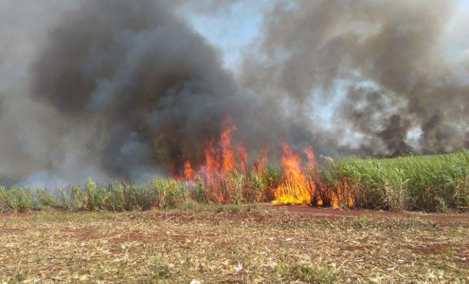 Adiado prazo para suspensão da queima de cana-de-açúcar