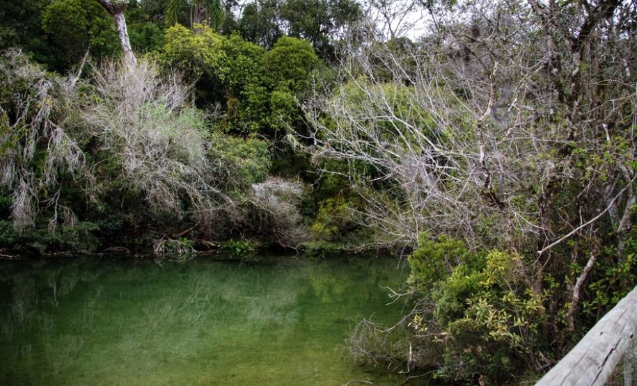 Parque Vila Velha reabre com novas atrações para os visitantes