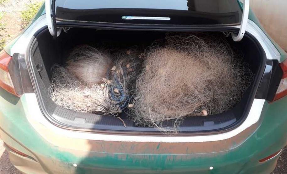 Atividades irregulares foram identificadas em parques estaduais