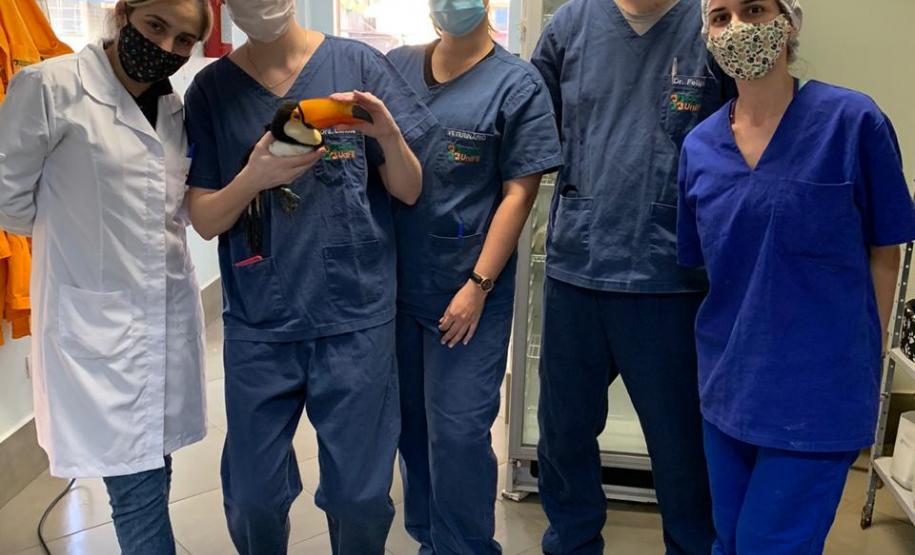 IAT conta com parcerias para atendimento veterinário de animais silvestres