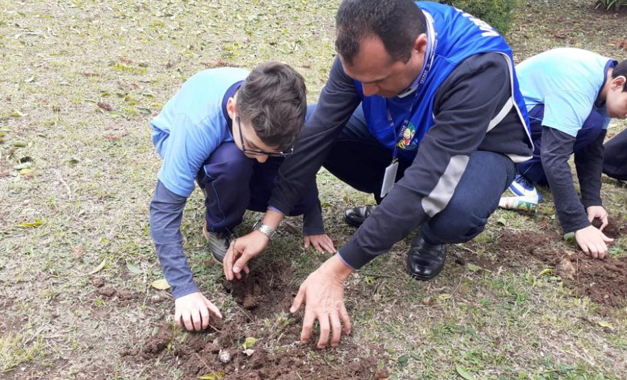 Dia da Árvore terá plantio de 550 mil mudas em todo o Estado