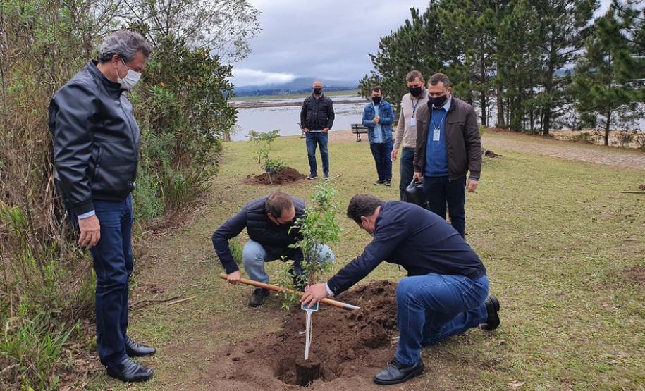 Represa do Iraí recebe mudas nativas e simboliza plantio em todo o Estado