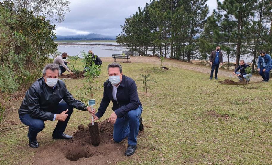Represa do Iraí recebe mudas nativas e simboliza plantio em todo o Estado