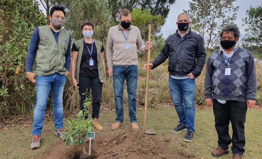 Represa do Iraí recebe mudas nativas e simboliza plantio em todo o Estado