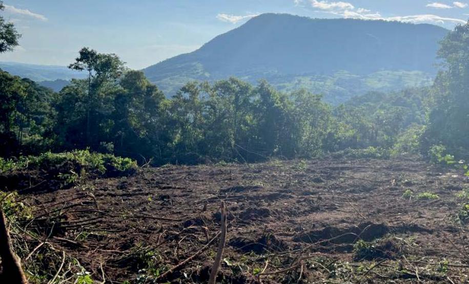 Instituto Água e Terra impede mega desmatamento de Mata Atlântica em São Jerônimo da Serra