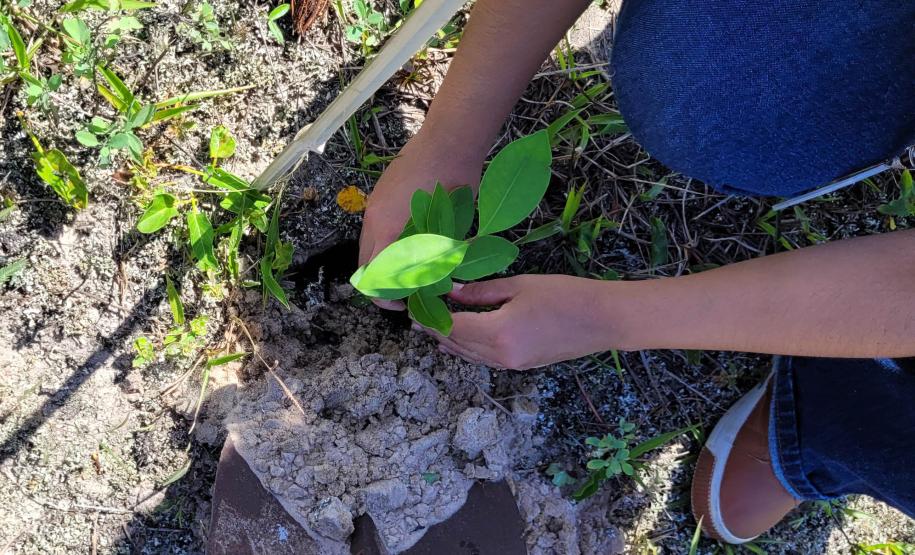 Equipe do Instituto Água e Terra que participou do plantio de restinga em Pontal do Paraná.
