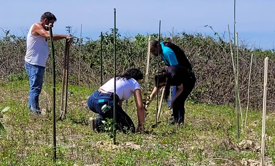 Equipe do Instituto Água e Terra que participou do plantio de restinga em Pontal do Paraná.