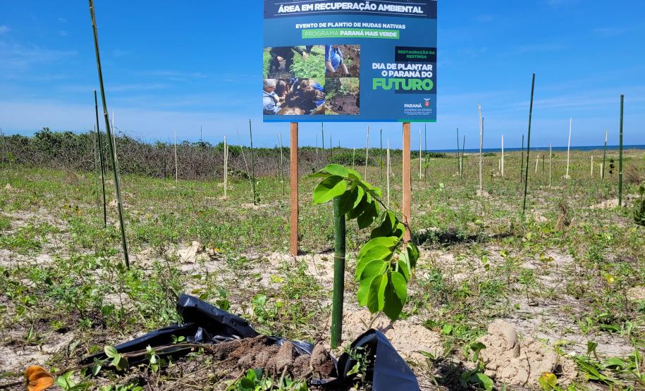 Equipe do Instituto Água e Terra que participou do plantio de restinga em Pontal do Paraná.