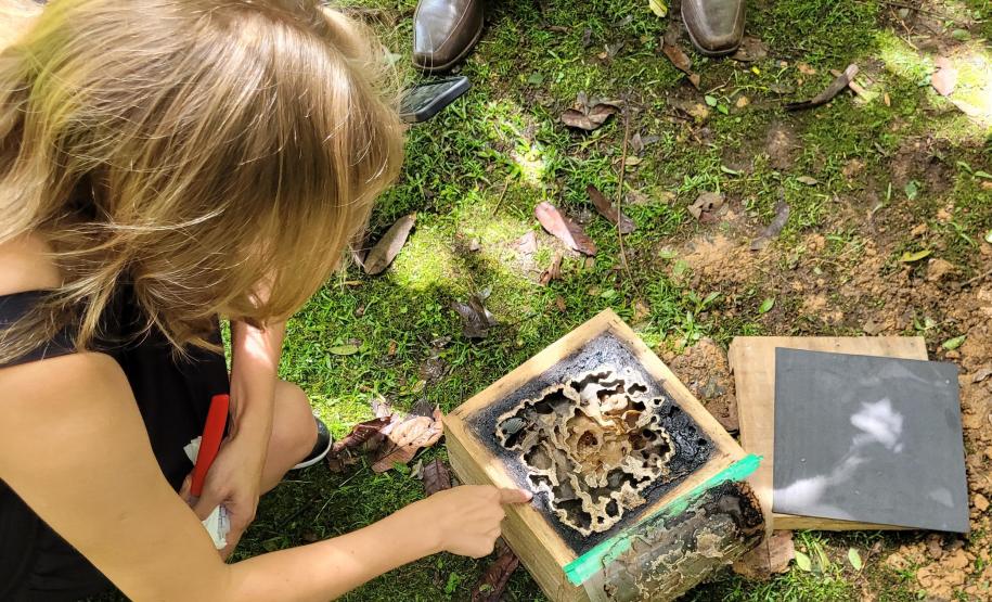 Parque Estadual de Campinhos é a primeira Unidade de Conservação a receber o Poliniza Paraná