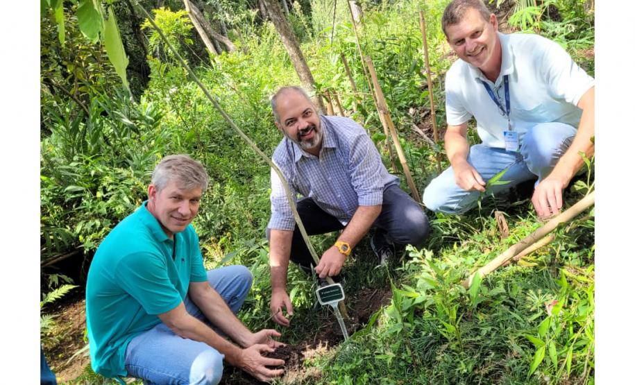 Regionais do IAT plantaram cerca de 18 mil mudas em diferentes localidades do Estado para recuperar matas ciliares