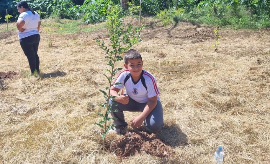 Regionais do IAT plantaram cerca de 18 mil mudas em diferentes localidades do Estado para recuperar matas ciliares