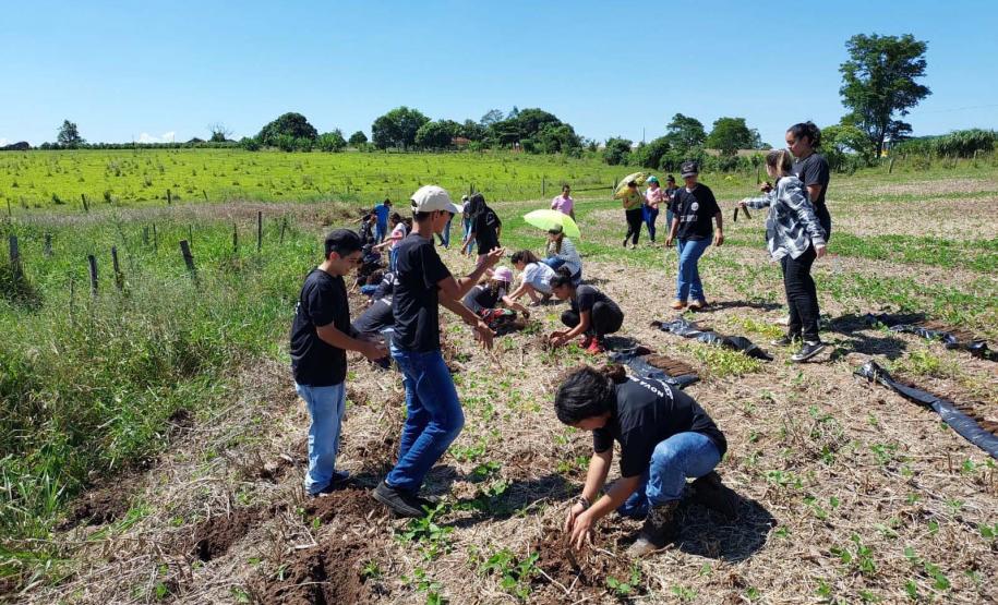 Regionais do IAT plantaram cerca de 18 mil mudas em diferentes localidades do Estado para recuperar matas ciliares