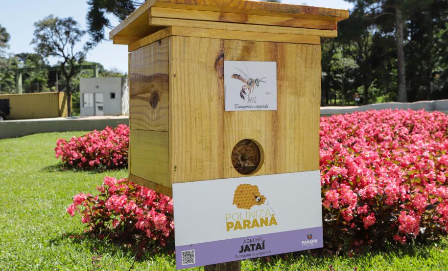 O governador do Paraná, Carlos Massa Ratinho Junior, inaugura o jardim de colmeias de abelhas nativas e a horta orgânica no Palácio Iguaçu.