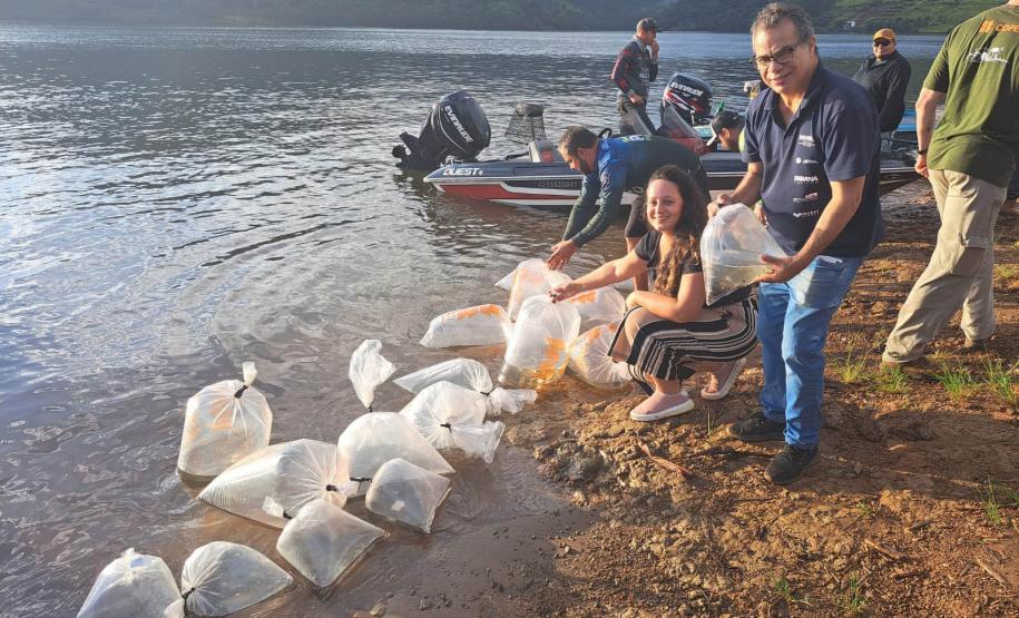 Soltura de peixe surubim na da 7ª Copa Iguaçu de Pesca Esportiva