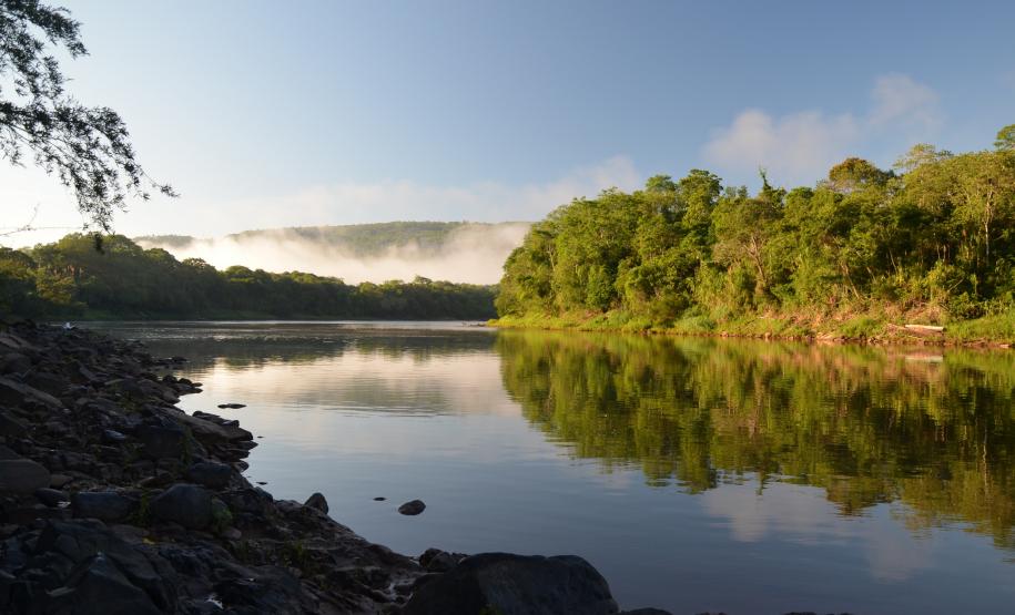 Dia da Água: IAT vai plantar 18 mil mudas de espécies nativas em nascentes de rios do Paraná