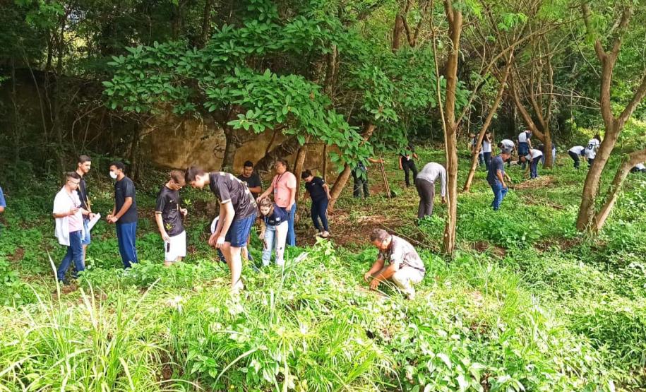 Dia da Água: IAT vai plantar 18 mil mudas de espécies nativas em nascentes de rios do Paraná