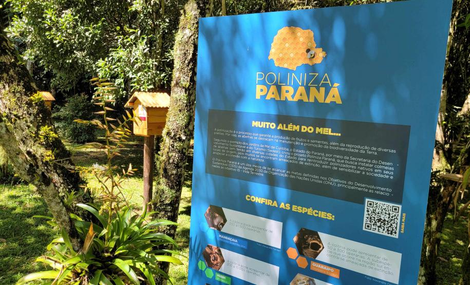 Paraná anuncia expansão de área verde com novas Unidades de Conservação