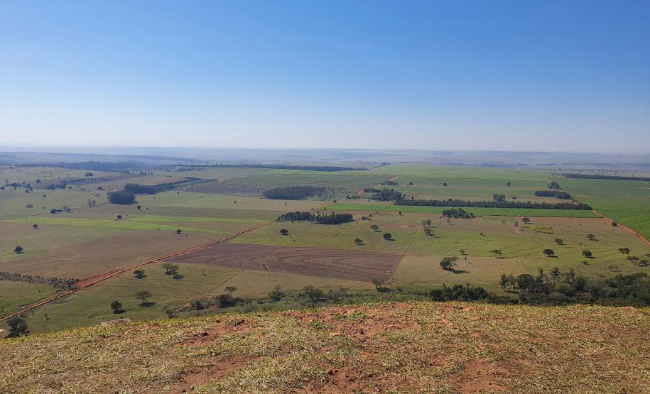IAT cria guia para ajudar proprietários a adequarem áreas de reserva legal