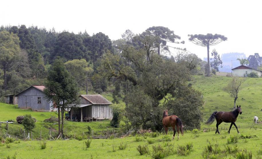 IAT cria guia para ajudar proprietários a adequarem áreas de reserva legal