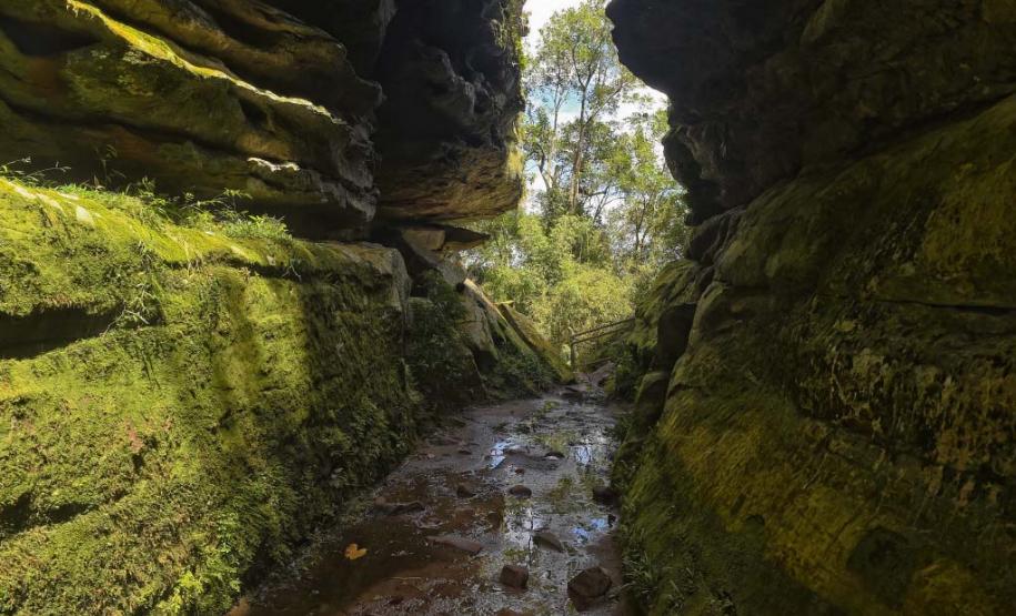 O Parque do Monge é um dos espaços abertos para a visitação do público no Paraná.