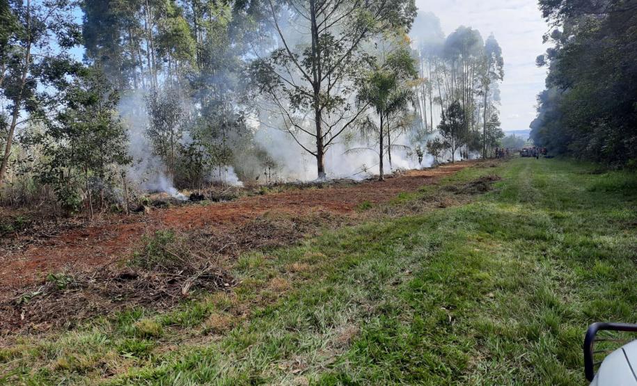 Ação queimada controlada no Parque Estadual de Vila Velha reuniu quase 300 bombeiros militares.