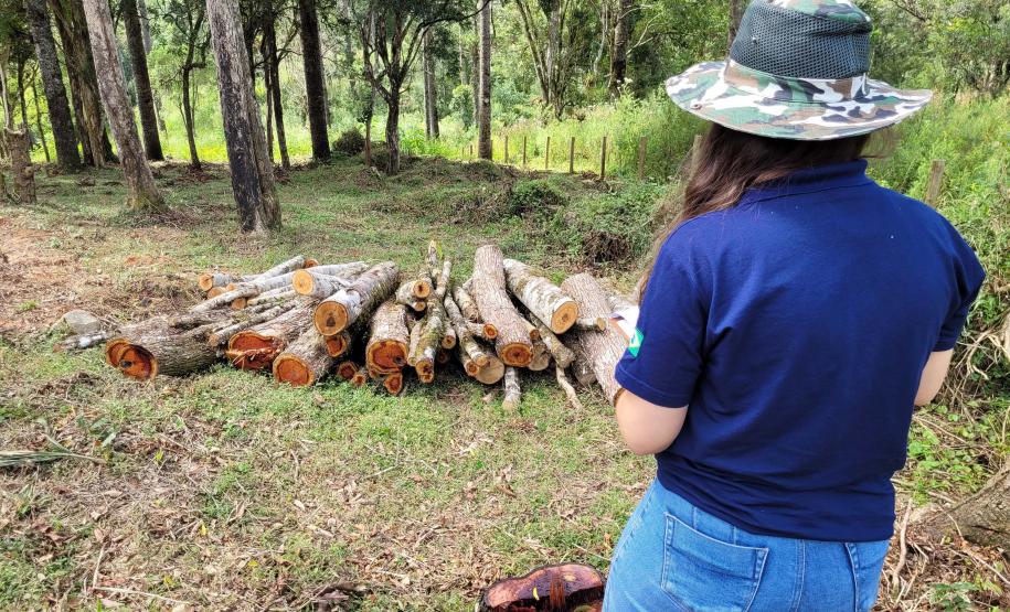 Mais 16 profissionais foram convocados para integrar o quadro de servidores do Instituto Água e Terra nesta segunda chamada do concurso de 2021