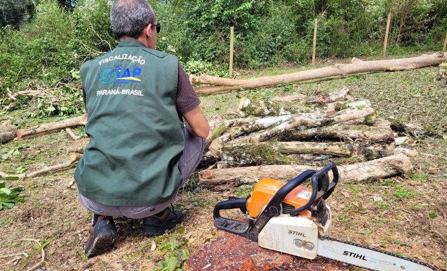 Mais 16 profissionais foram convocados para integrar o quadro de servidores do Instituto Água e Terra nesta segunda chamada do concurso de 2021