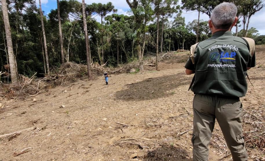 Mais 16 profissionais foram convocados para integrar o quadro de servidores do Instituto Água e Terra nesta segunda chamada do concurso de 2021