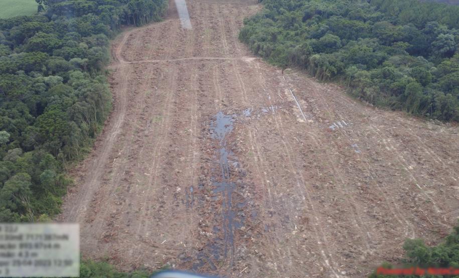 Estado aplica R$ 3,6 milhões em multas por desmatamento de 462 hectares nos Campos Gerais