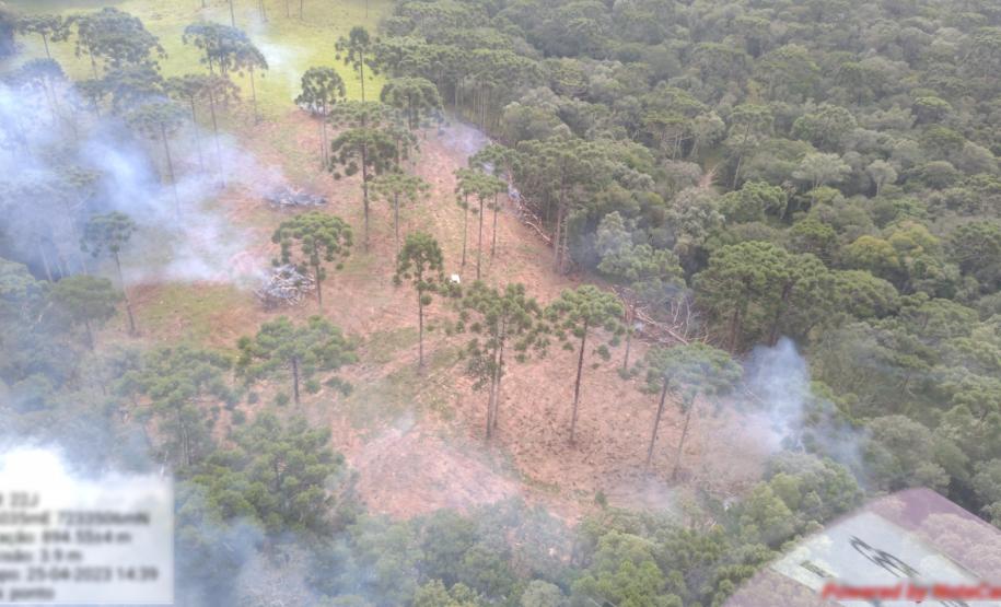 Estado aplica R$ 3,6 milhões em multas por desmatamento de 462 hectares nos Campos Gerais