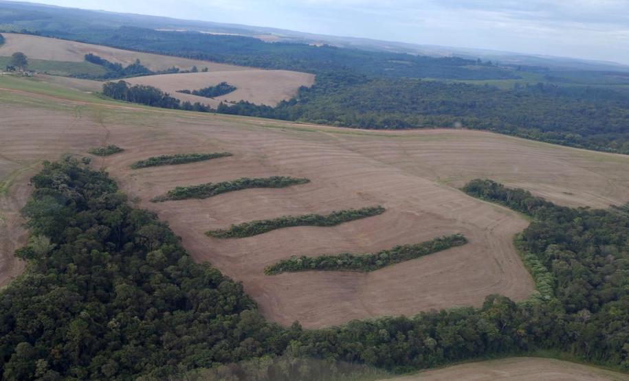 Estado aplica R$ 3,6 milhões em multas por desmatamento de 462 hectares nos Campos Gerais