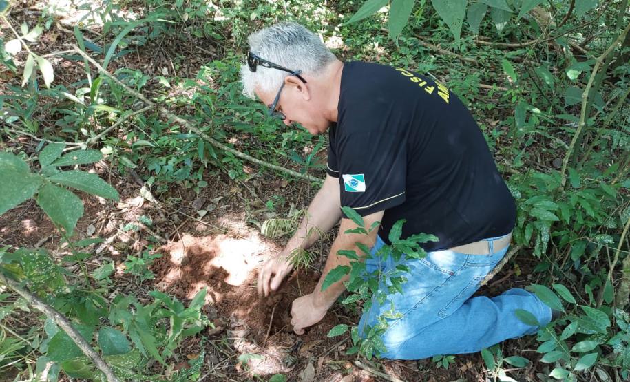 Mais 16 profissionais foram convocados para integrar o quadro de servidores do Instituto Água e Terra nesta segunda chamada do concurso de 2021