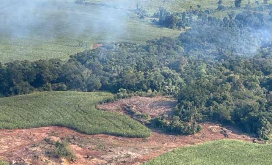 IMAGEM AÉREA MOSTRANDO ÁREA DE DESMATAMENTO