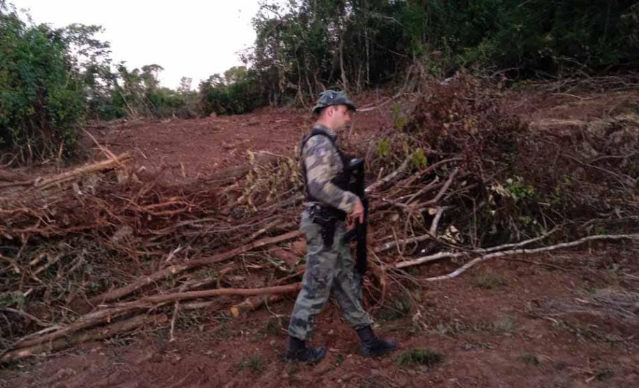 OFICIAL DA PM AO NO TERRENO DE DESMATAMENTO, PRÓXIMO ÀS RAÍZES DE ÁRVORES SUPRIMIDAS