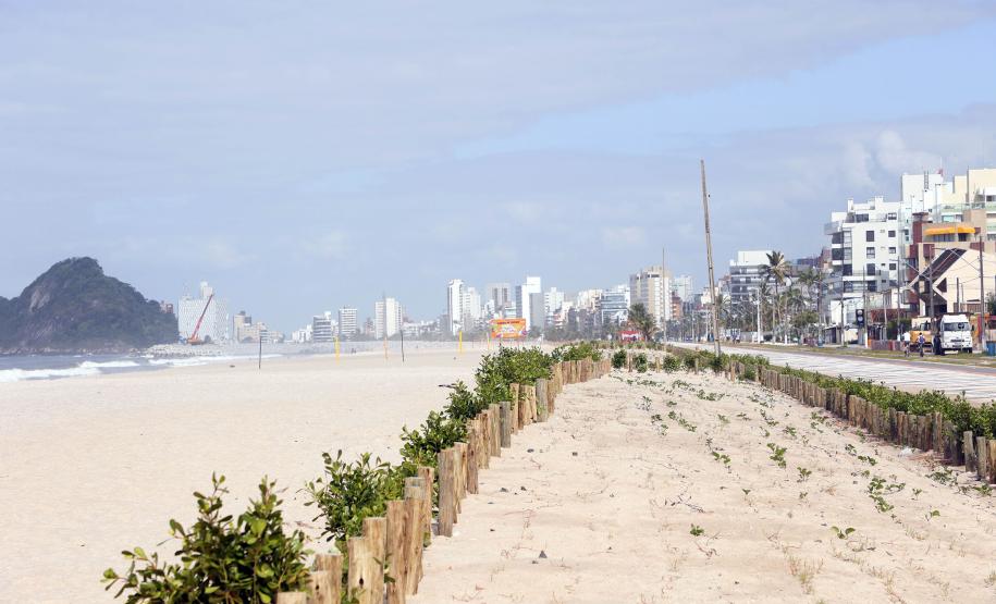 Foto da orla de matinhos