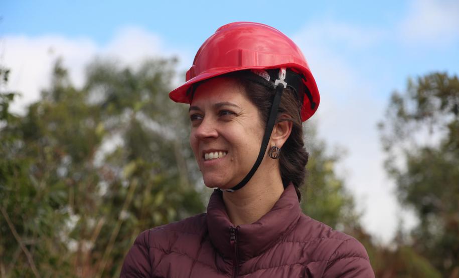 Instituto Água e Terra estabeleceu novos procedimentos para o cultivo para fins comerciais de pinus, gramíneas, árvores frutíferas, plantas ornamentais e para sombreamento e acácia-negra, todas consideradas plantas exóticas invasoras no Paraná.