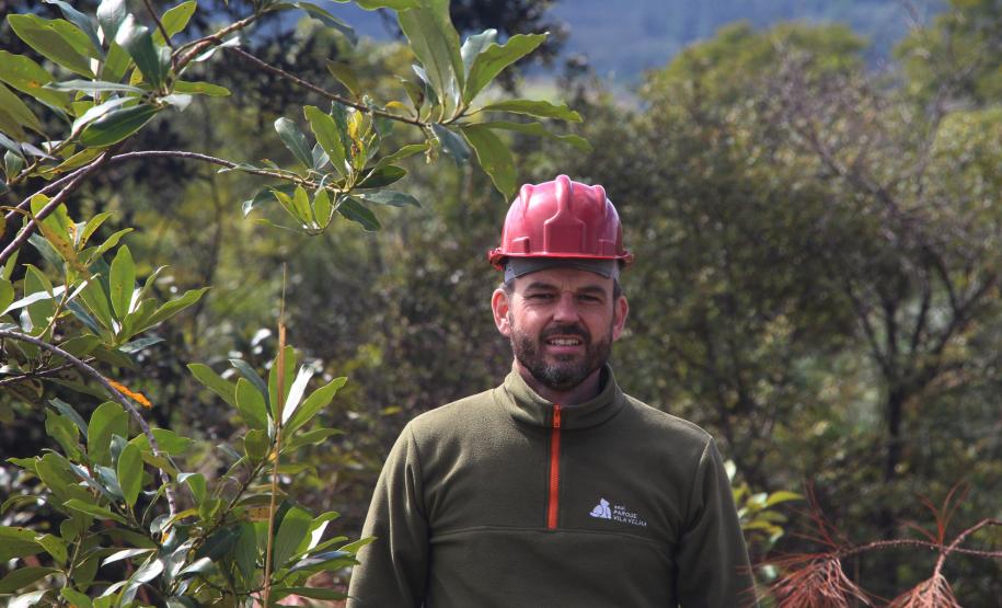 Com apoio de voluntários, IAT continua supressão de árvore invasora no Parque de Vila Velha
