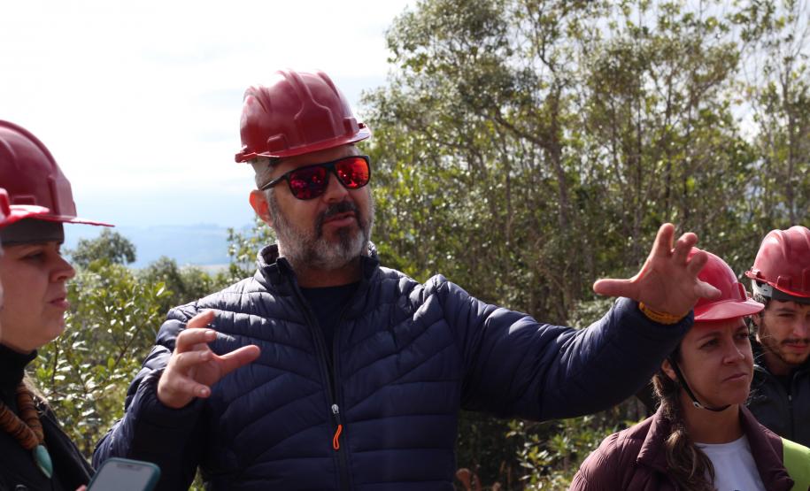 Com apoio de voluntários, IAT continua supressão de árvore invasora no Parque de Vila Velha