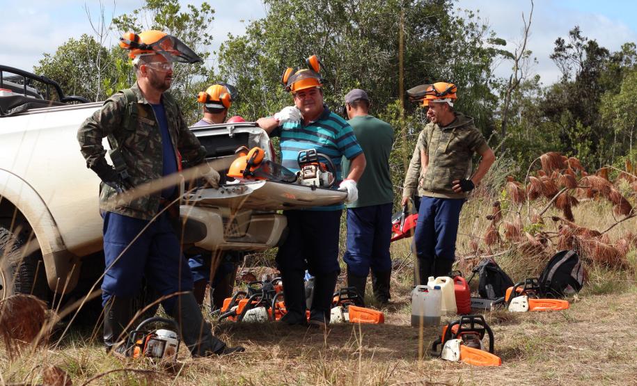 Com apoio de voluntários, IAT continua supressão de árvore invasora no Parque de Vila Velha